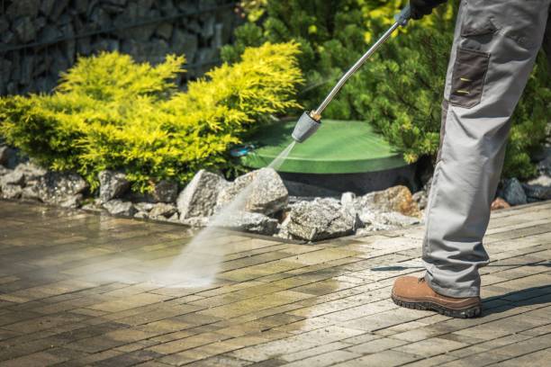 Best House Exterior Washing  in Algona, IA
